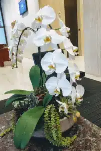 White Orchid Tribute Wreath - Flower Funeral