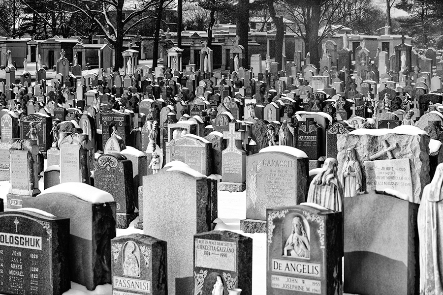 black white image of a graveyard