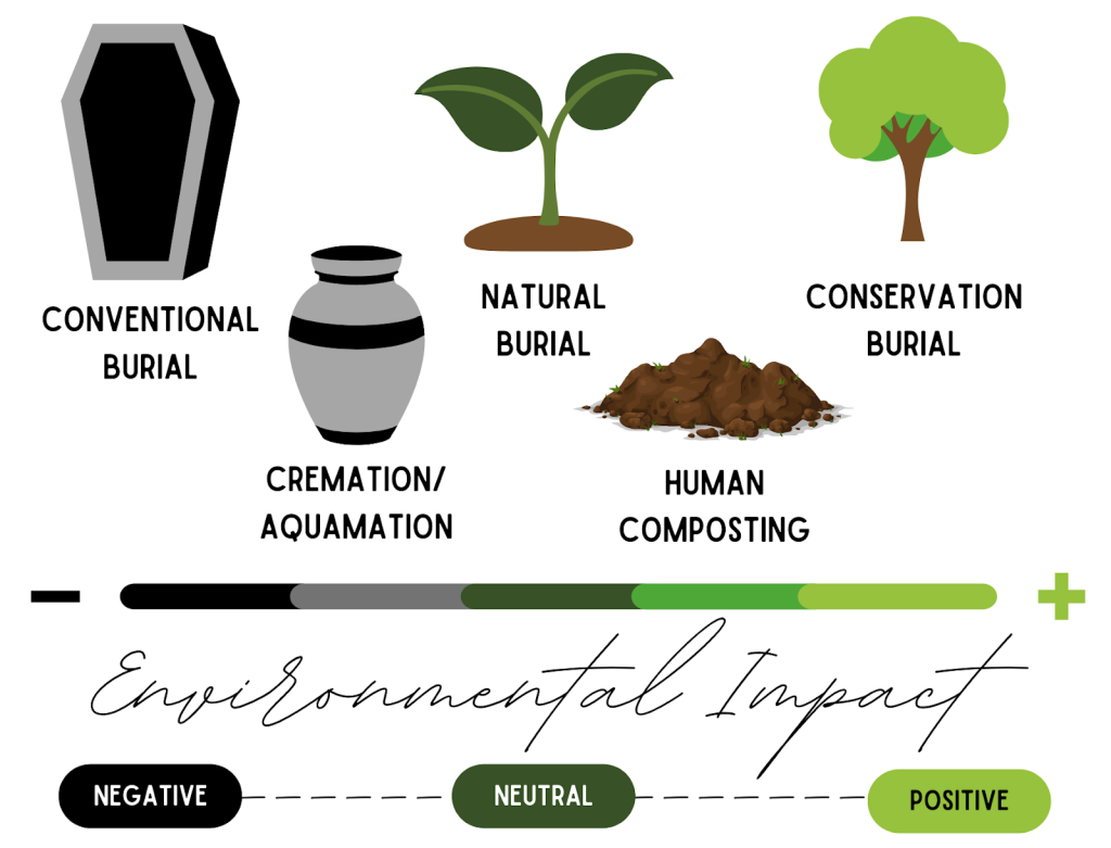 types of green burial illustrations