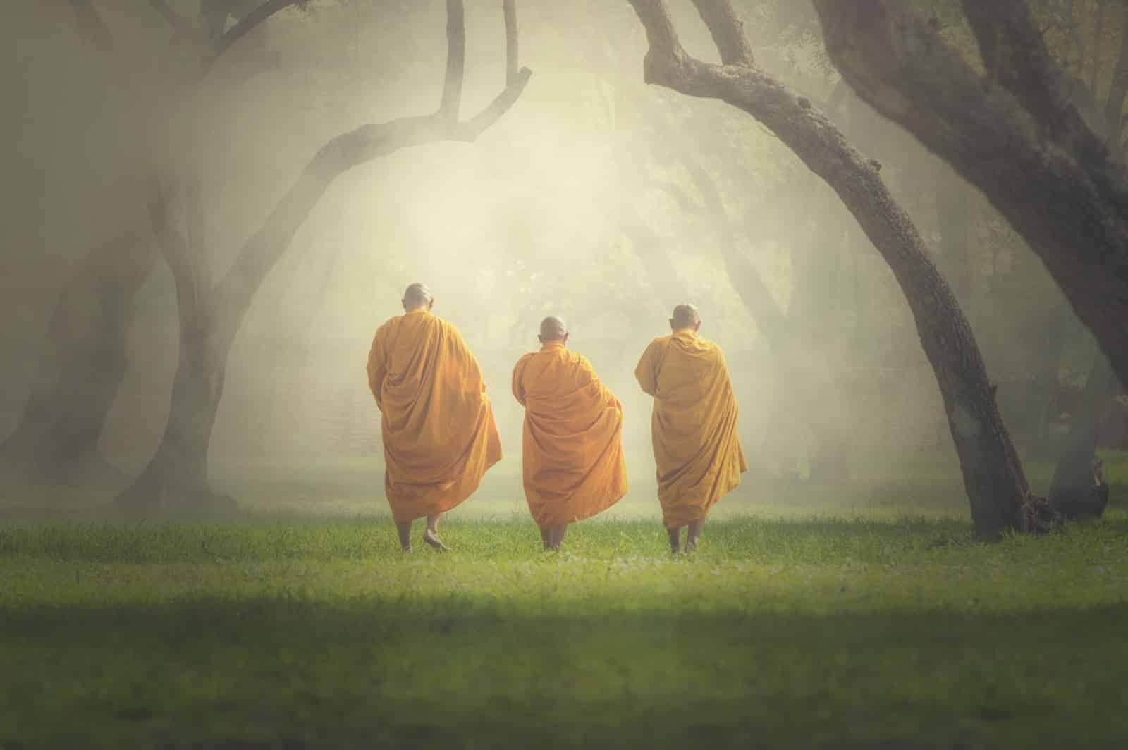 Buddhism Perspective Life and Death