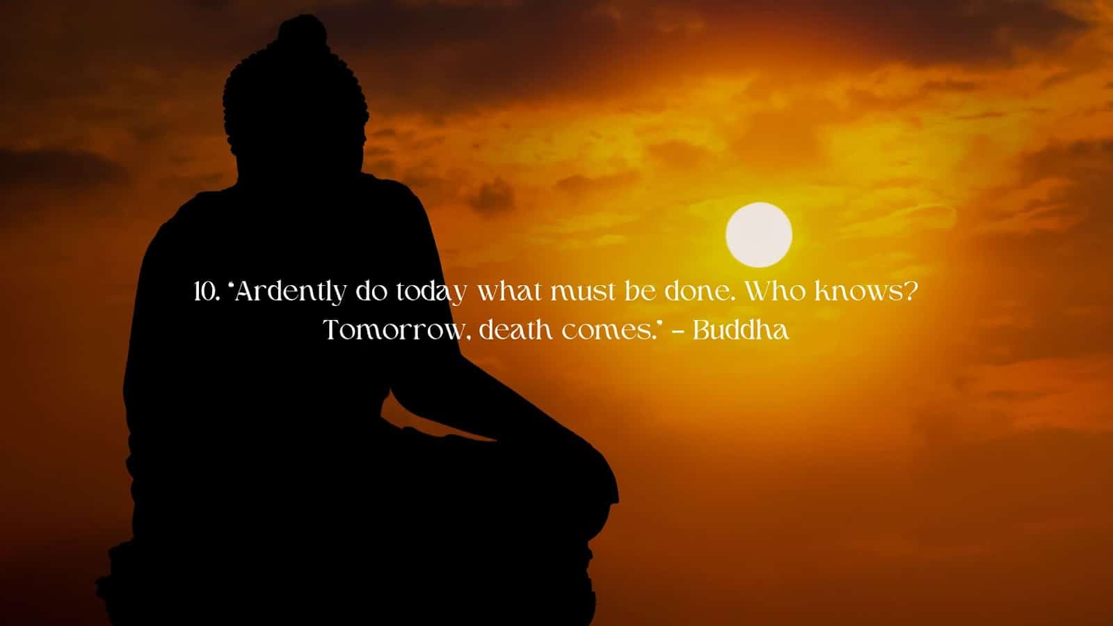 Buddhism Quote - Ardently do today what must be done, who knows tomorrow death comes