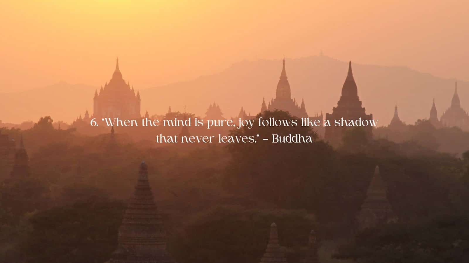 Buddhism Quote - When the mind is pure, joy follows like a shadow that never leaves by Buddha