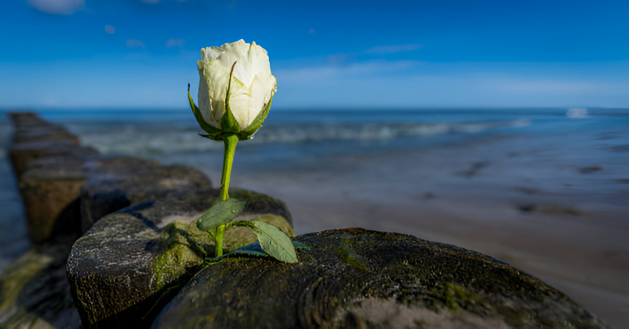What is Sea Burial Singapore