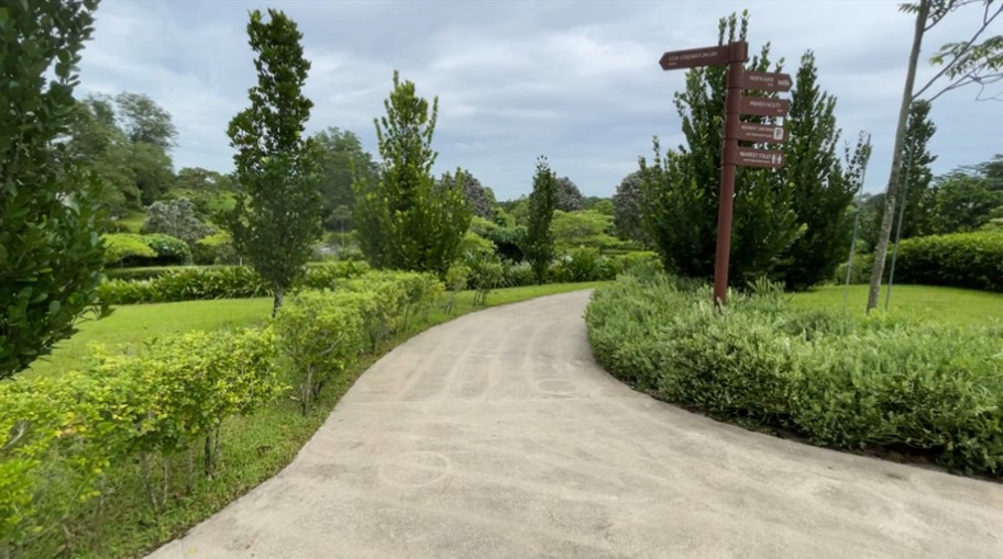 Where to Scatter Ashes in Singapore - Approved Locations for Ash Scattering in Singapore